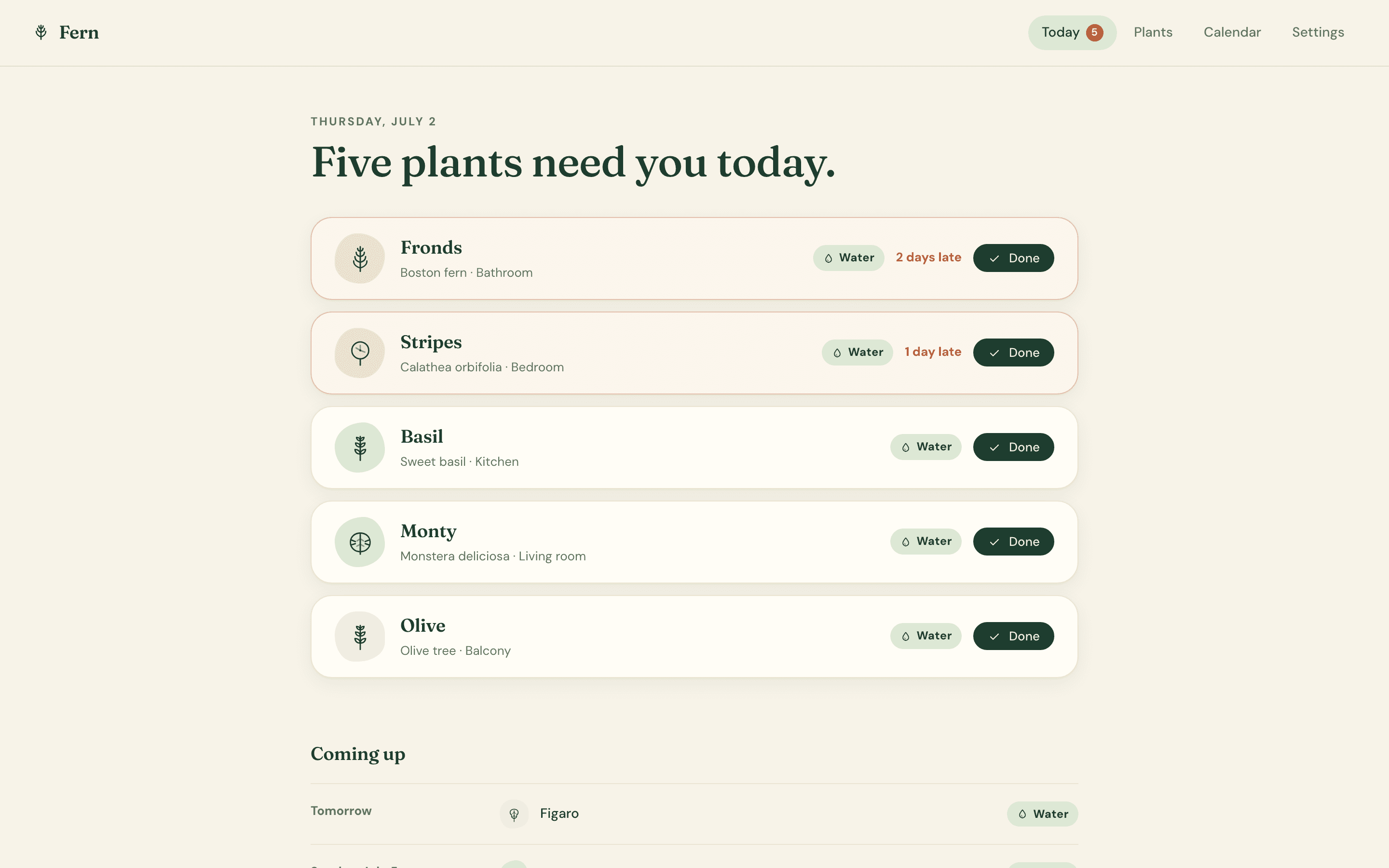 Fern — Today — five plants need you, most overdue on top